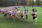 Start of the senior mens Liverpool Cross Challenge. David T. Hewitson/Sports for All Pics